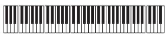 KORG PA2XPRO - Enregistrer les types de pianotage (ou strumming) - 1