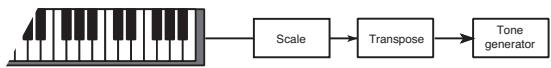 KORG PA2XPRO - Position - 2