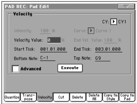 KORG PA2XPRO - Résolution - 2