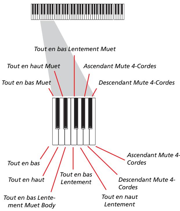 KORG PA2XPRO - Enregistrer les types de pianotage (ou strumming) - 1