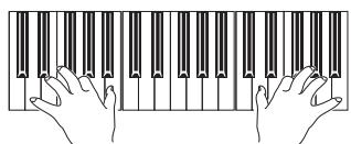 KORG PA2XPRO - Appuyez sur start/stop pour arrêter le style. - 5