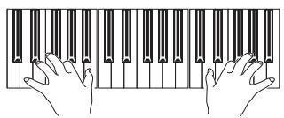 KORG PA2XPRO - Jouez sur le clavier. - 1
