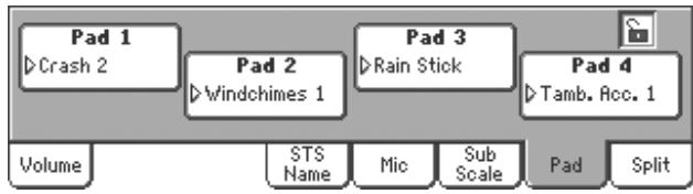 KORG PA2XPRO - Afficheur pad - 1