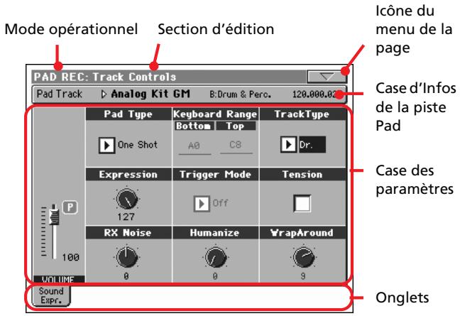 KORG PA2XPRO - Capo (0,1... x) - 2