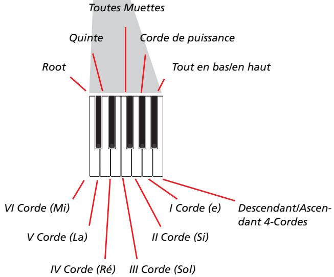 KORG PA2XPRO - Enregistrer des séquences individuelles - 2
