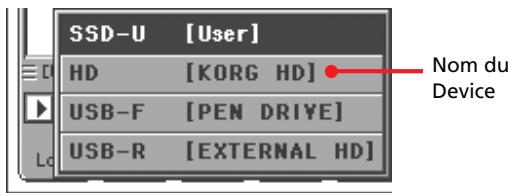 KORG PA2XPRO - Dispositifs de mémoire accessibles par l'utilisateur - 3
