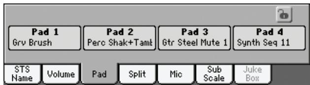 KORG PA3X - Afficheur 'pad - 1