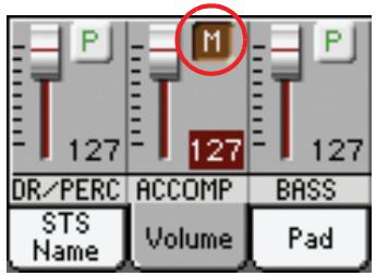 KORG PA3X - Affichez le cadre "volume" en touchant l'onglet [volume] - 4