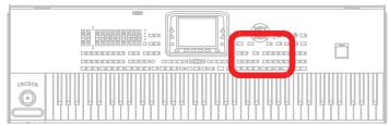 KORG PA3X - MIC On/Off - 5