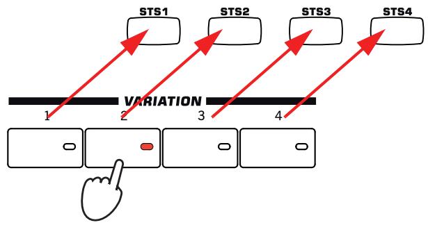 KORG PA3X - Single touch settings (STS) - 8