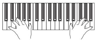 KORG PA3X - Jouez sur le clavier. - 4
