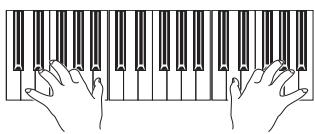 KORG PA3X - Appuyez sur start/stop pour arrêter le style. - 7