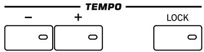 KORG PA3X - Section TEMPO - 2