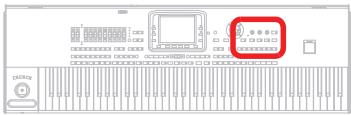 KORG PA3X - Boutons TEMPO +/-- - 1