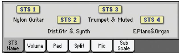 KORG PA3X - Afficheur du nom du STS - 1