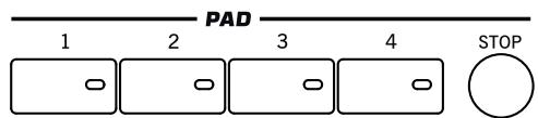KORG PA3X - MEMORY, paramètres de basse, séquenceur d'accords - 3