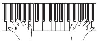 KORG PA3X - Single touch settings (STS) - 6