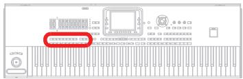 KORG PA3X - Éléments de style - 1