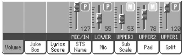KORG PA800 - Afficheur du volume - 1