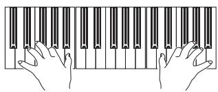 KORG PA800 - Jouez sur le clavier. - 1