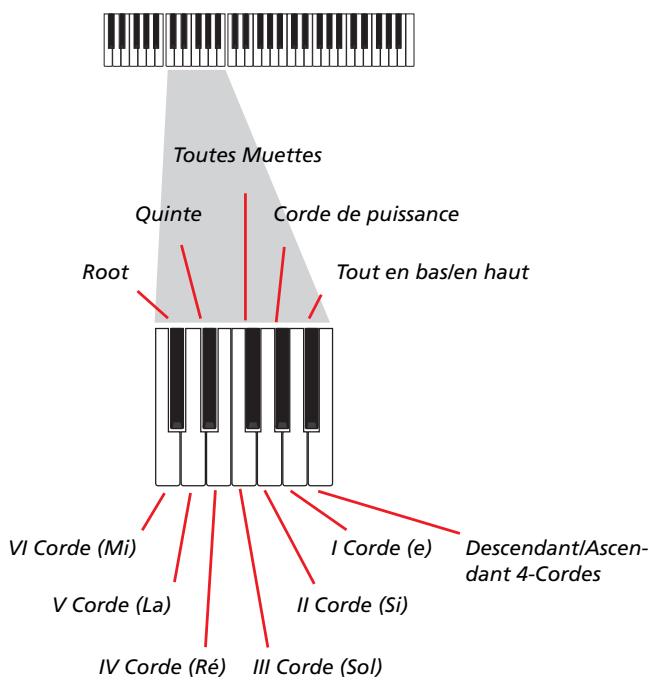 KORG PA800 - Enregistrer des séquences individuelles - 1
