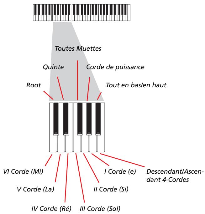 KORG PA800 - Enregistrer des séquences individuelles - 1