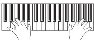 KORG PA800 - Jouez sur le clavier. - 1