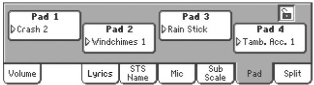 KORG PA800 - Afficheur pad - 1