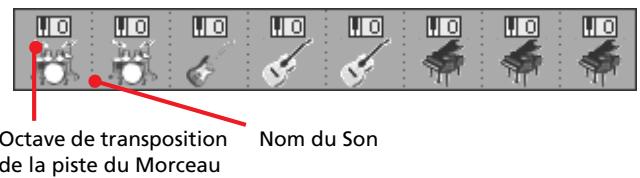 KORG PA800 - Caisse sons - 1