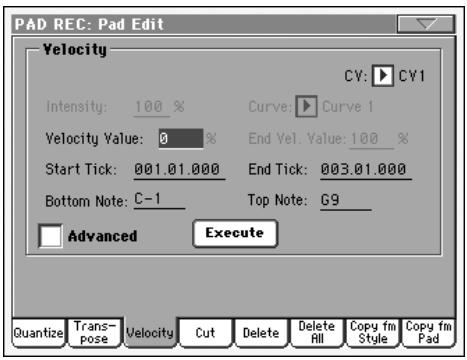 KORG PA800 - Résolution - 2