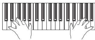 KORG PA800 - Jouez des accords à la main gauche et des notes individuelles à la main droite. - 1