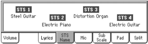 KORG PA800 - Afficheur du nom du STS - 1