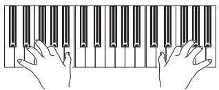 KORG PA800 - Lancez l'enregistrement en appuyant sur le bouton start/stop. - 1