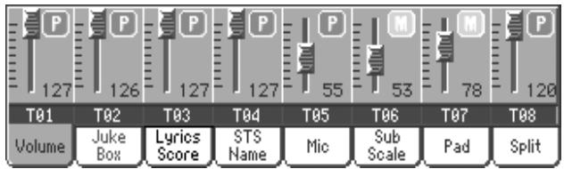 KORG PA800 - Afficheur du volume - 2