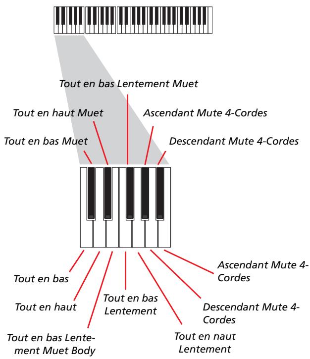 KORG PA800 - Enregistrer les types de pianotage (ou strumming) - 1