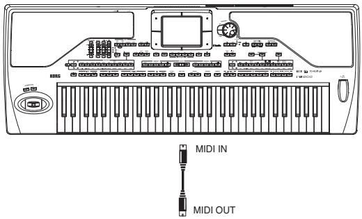 KORG PA800 - Connecter le PA800 à un clavier-maître - 1