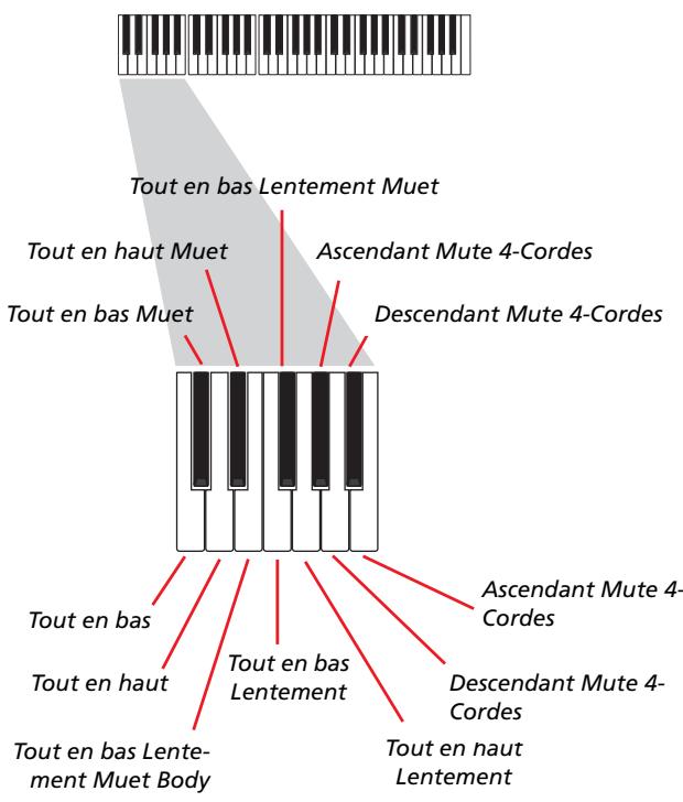 KORG PA800 - Enregistrer les types de pianotage (ou strumming) - 1
