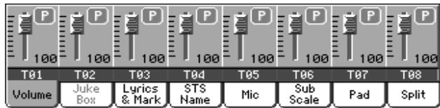 KORG PA800 - Case de l'état/volume des pistes - 1