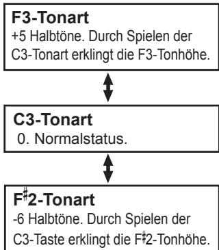 KORG SP170 - Uber den Bestätigungston - 3