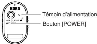KORG WITUNE - Emplacement - 2