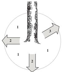 JONSERED CS 2150 - Émondage des branches basses et voie de retraite - 2