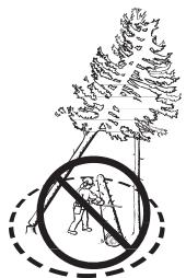 JONSERED CS 2150 - Récapération d'un arbre accroché - 2