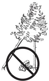 JONSERED CS 2152 C - Récapitulation d'un arbre accroché - 1