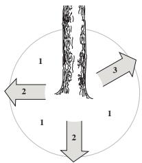 JONSERED CS 2153 - Émondage des branches basses et voie de retraite - 2