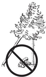 JONSERED CS 2153 - Récapitulation d'un arbre accroché - 1