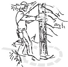 JONSERED CS 2153 - Émondage des branches basses et voie de retraite - 1