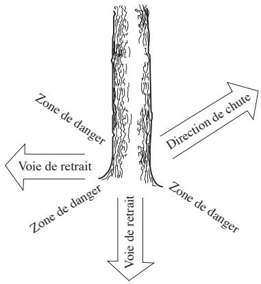 JONSERED CS 2159 CWH - Émondage des branches basses et voie de retraite - 2