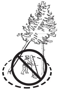 JONSERED CS 2165 - Récupération d'un arbre accroché - 2