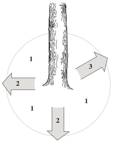 JONSERED CS 2171 - Émondage des branches basses et voie de retraite - 2