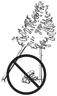 JONSERED CS 2171 - Récupération d'un arbre accroché - 1